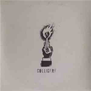 Colligere - Sobre Determinação E Desespero download free