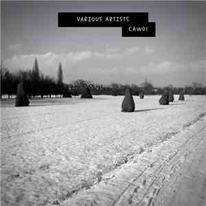 Various - Christmas at Welter download free