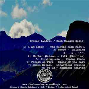 Various - Frozen Tendril / Dark Meadow Split. download free